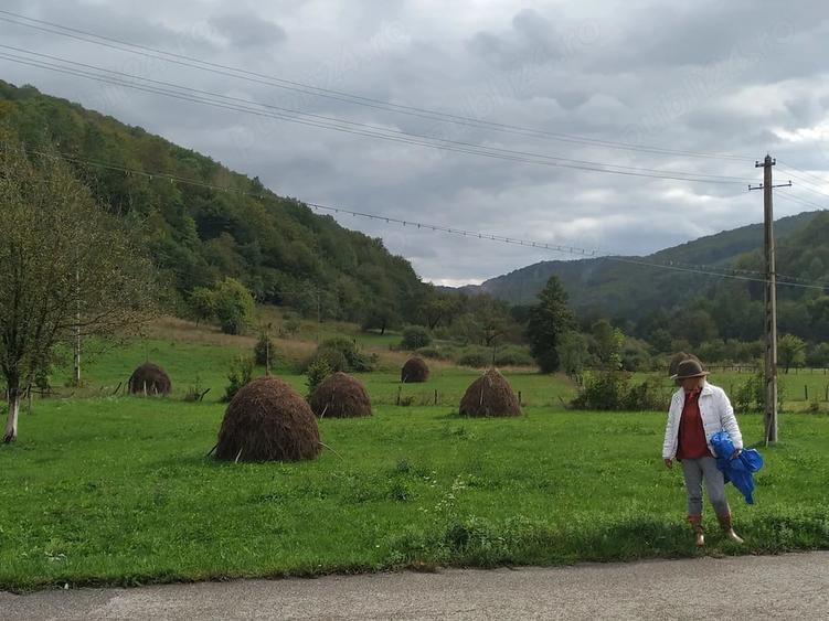 Casă cu Teren 10000 Mp în Bulzeștii de Jos