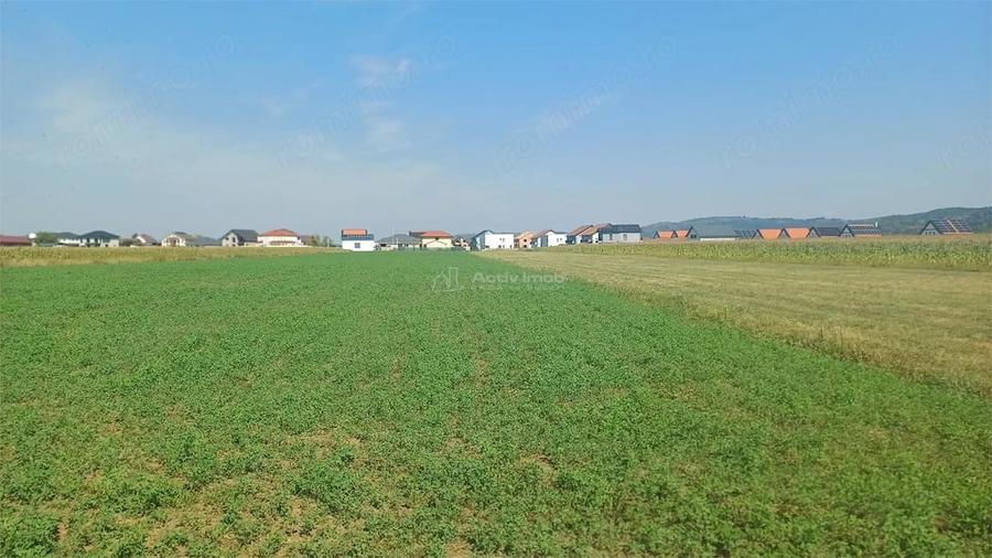 Teren de 2500 mp, în Periferie
