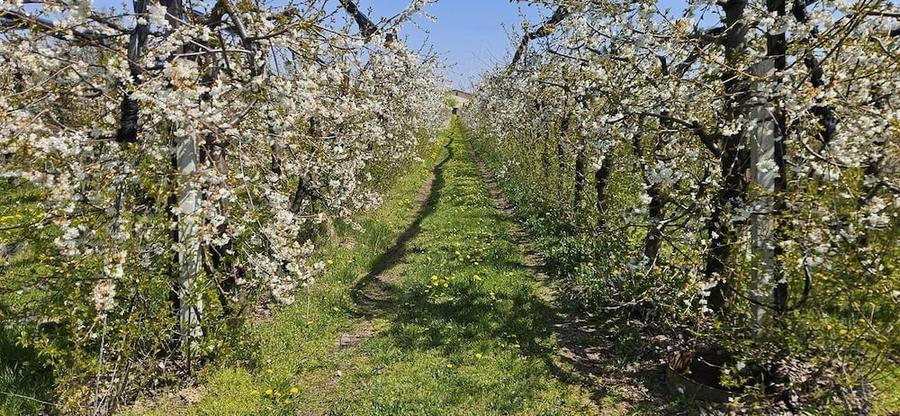 Teren de 11000 mp, în Drăgăești-Ungureni