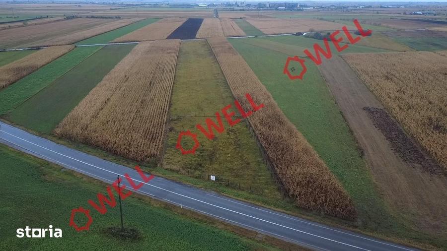 Teren extravilan de vanzare in Covasna! - 9