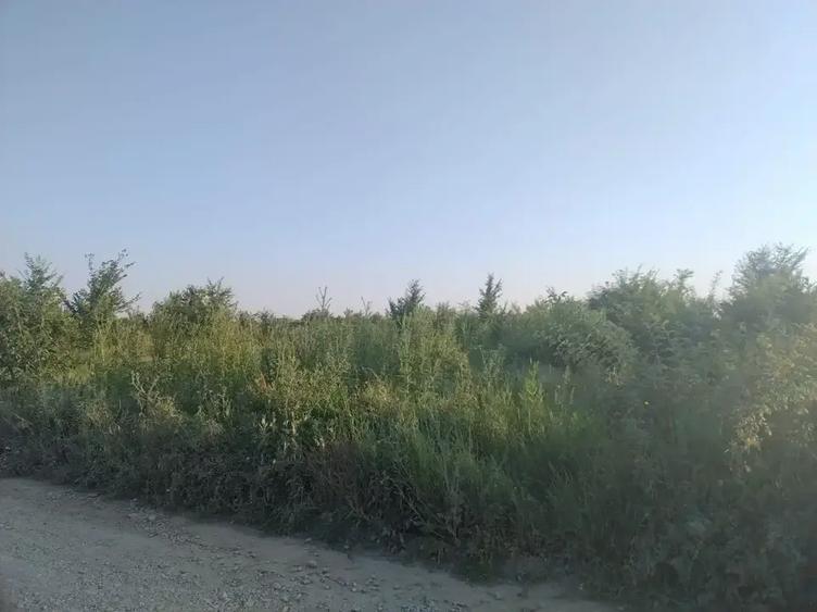 Teren intravilan de 2200 mp, în Sisești