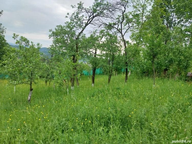 Teren de 1120 mp, în Poiana