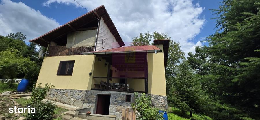 Casă cu 5 camere cu Teren 2200 Mp în Provița de Jos