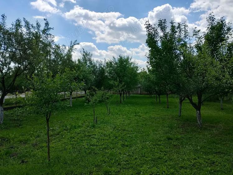 Teren de 1200 mp, în Șimand