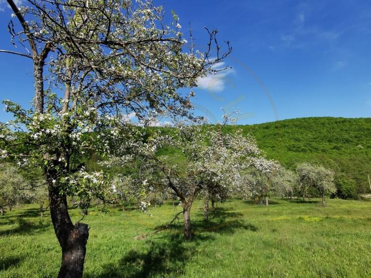 Teren agricol extravilan de 680 mp, în Budeasa Mică