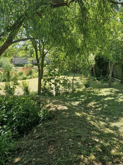Casă cu 4 camere cu Teren 1000 Mp în Central