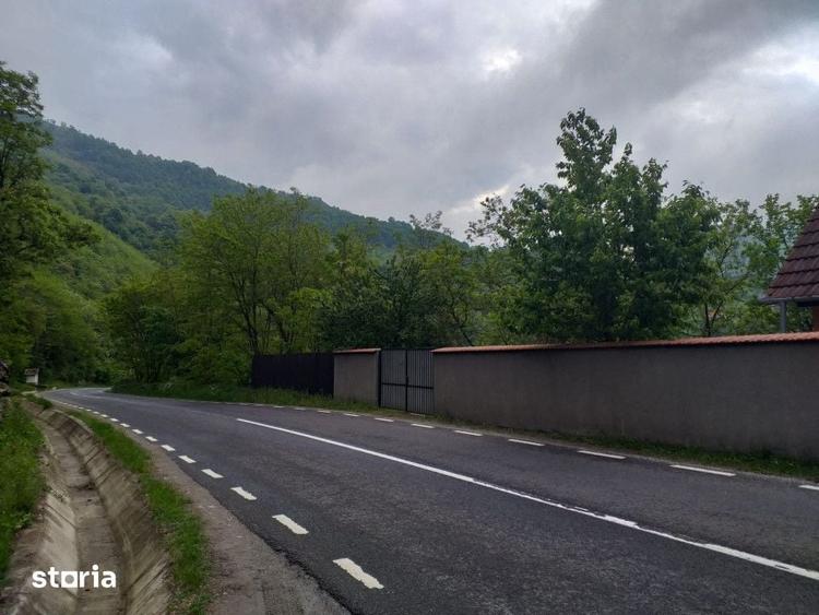 Teren de 7432 mp, în Sebeșel