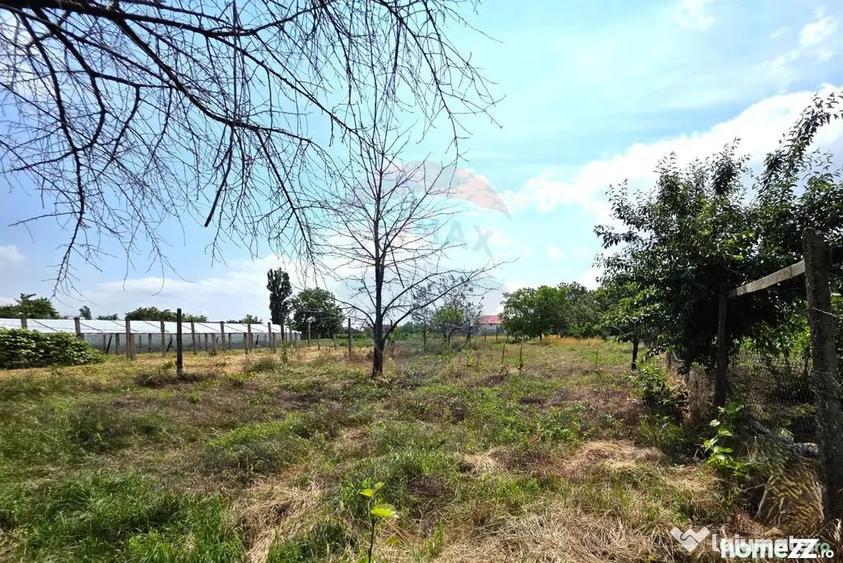 Casă cu 4 camere cu Teren 1254 Mp în Potoceni