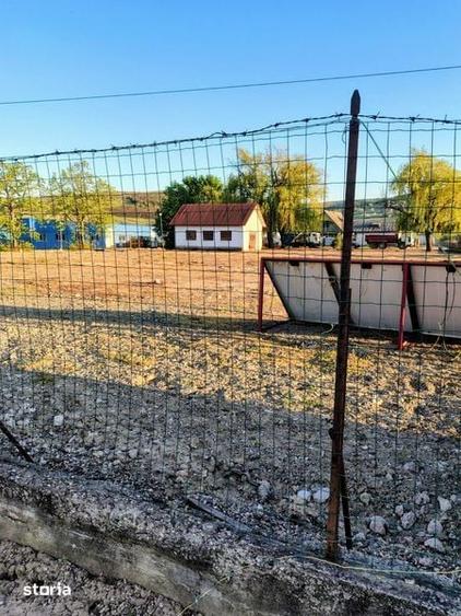 Inchiriez Teren in Raducaneni -Iasi - 3