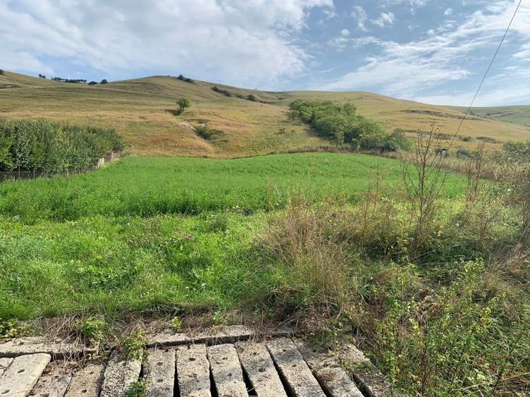 Teren Construcții intravilan de 3150 mp, în Cojocna