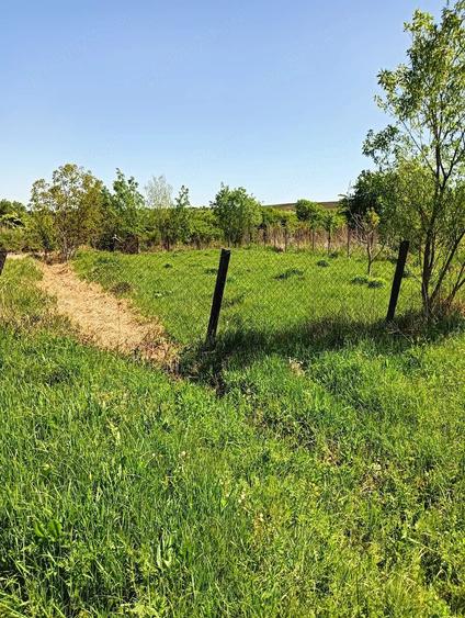 Teren de vanzare intravilan,Strada Soporului,Cluj,530mp - 1