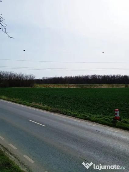 Teren intravilan 5.000 m2 cu 40 m deschidere la DN2A ... - 10
