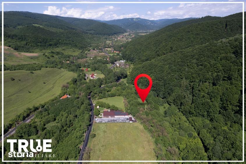 Teren de 2800 mp, în Eremitu