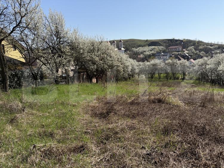 Teren Construcții intravilan de 2743 mp, în Crișeni