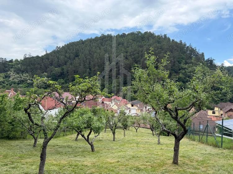 Casă cu 3 camere cu Teren 947 Mp în Tilișca