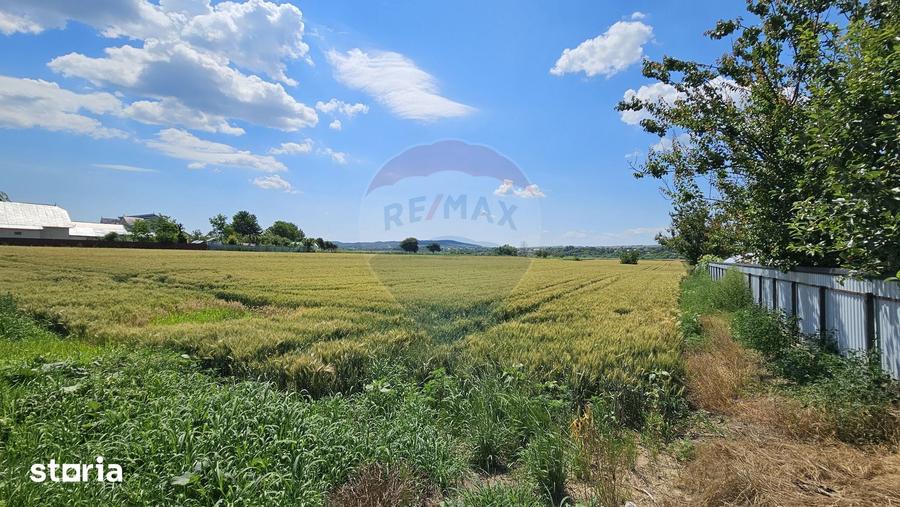 Teren de 15000 mp, în Central