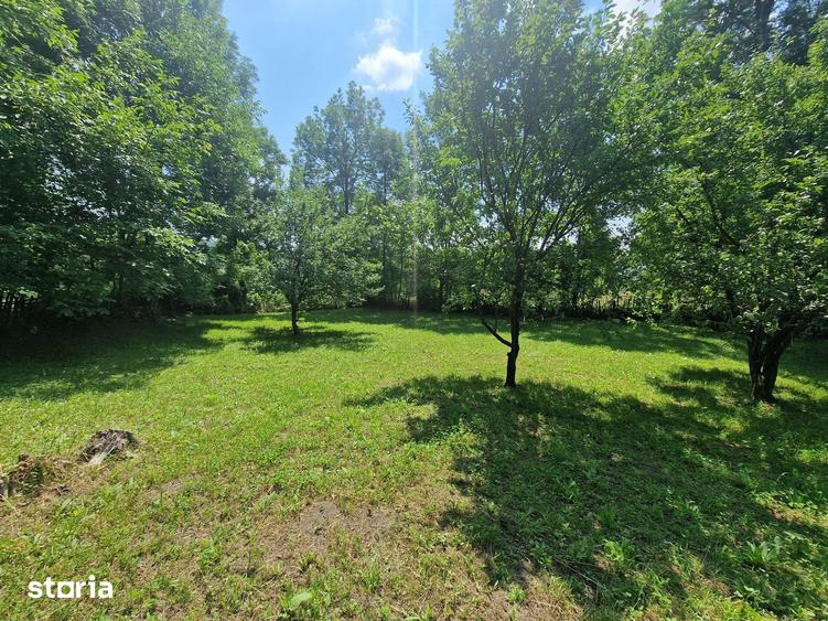 Teren de 3910 mp, în Secăriei