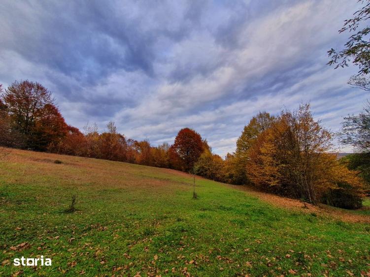 Teren de 20000 mp, în Valea