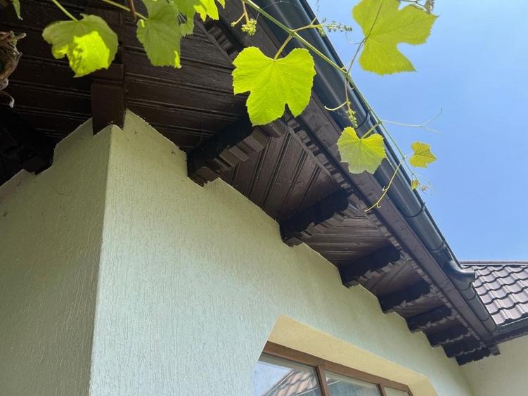 Casă cu 3 camere în Târpești
