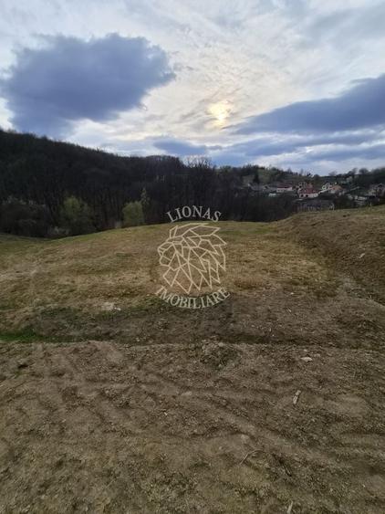 Teren agricol extravilan de 1500 mp, în Est