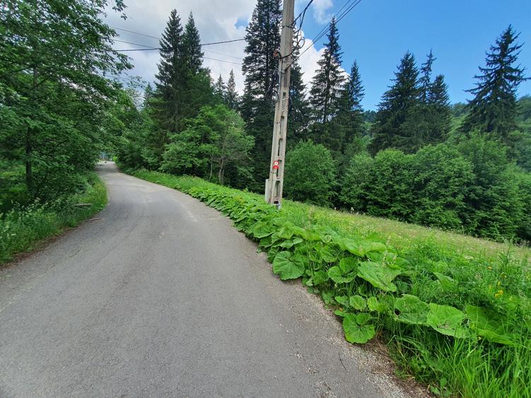 Teren Construcții intravilan de 745 mp, în Central