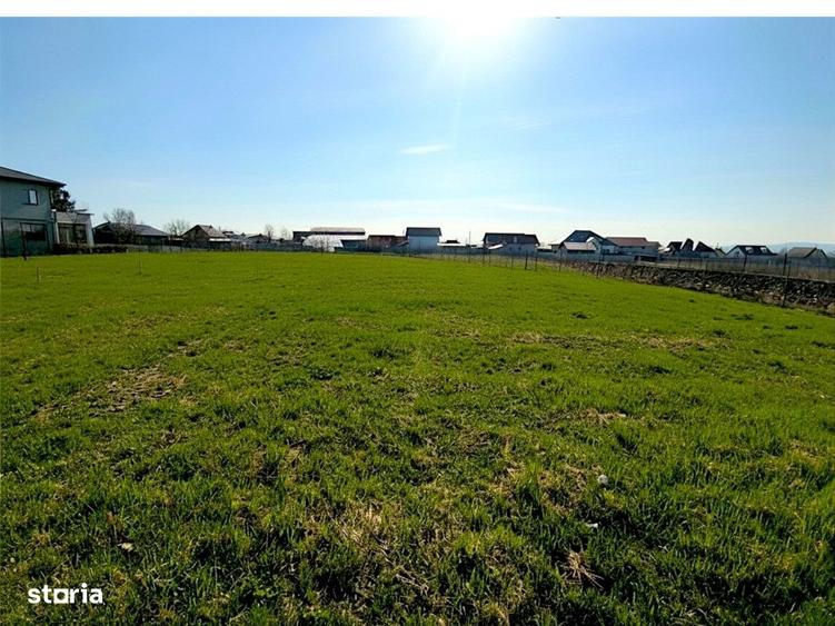 Teren Intravilan Salcea | 72.000 MP | Parcelabil | Investitie Majora - 3