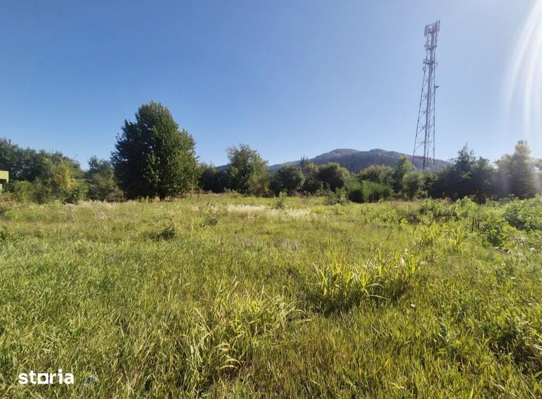 Teren de 1000 mp, în Alexandru cel Bun