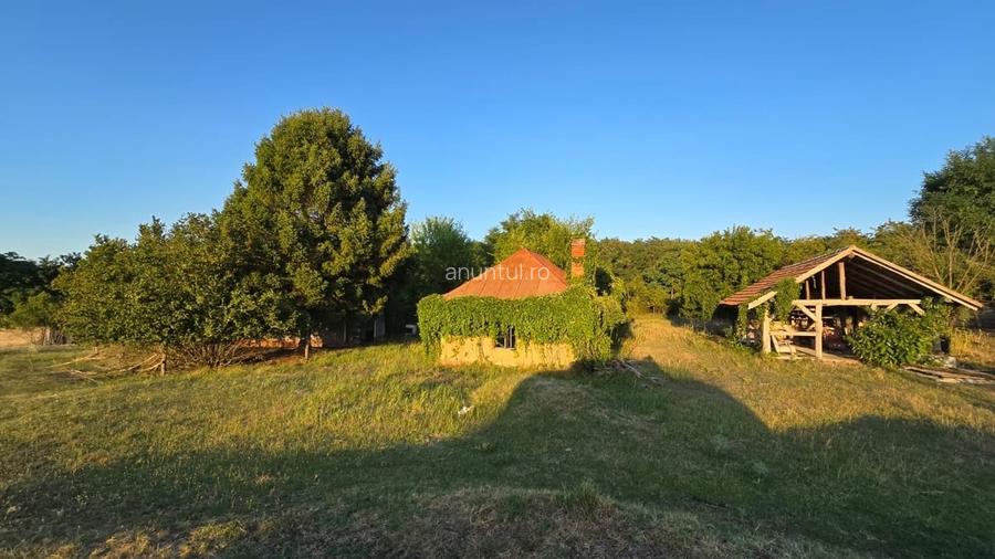 Bihor, Valea lui Mihai