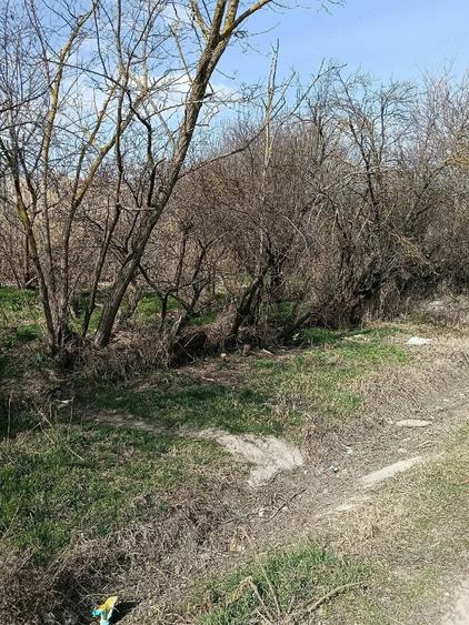 Teren de 1038 mp, în Măxineni