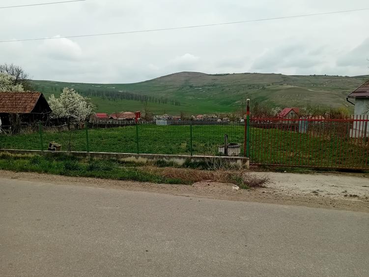 Teren Construcții intravilan de 1450 mp, în Frata