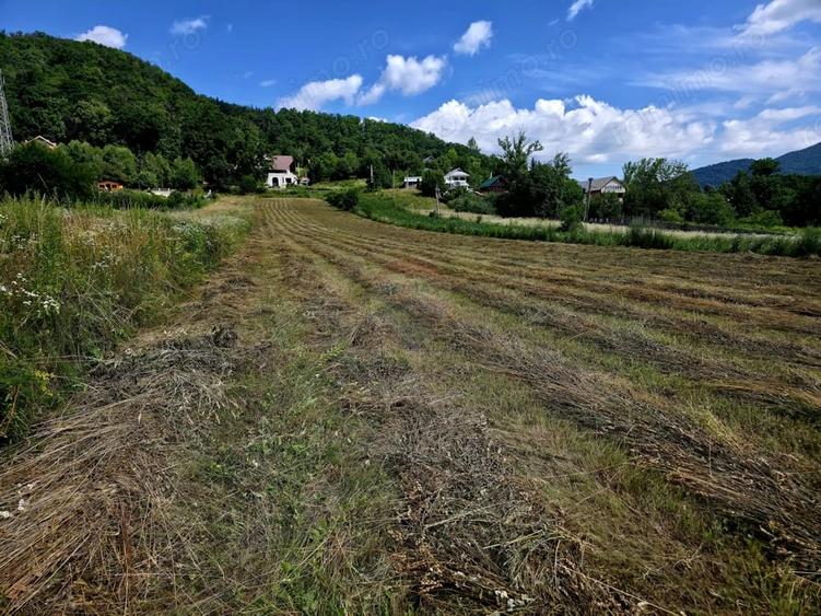 Teren de 600 mp, în Viișoara