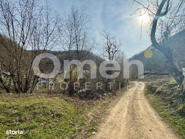 Teren de 637 mp, în Tăuții-Măgherăuș