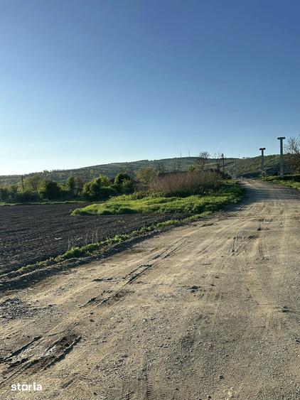 Teren de 10000 mp, în Târnăveni
