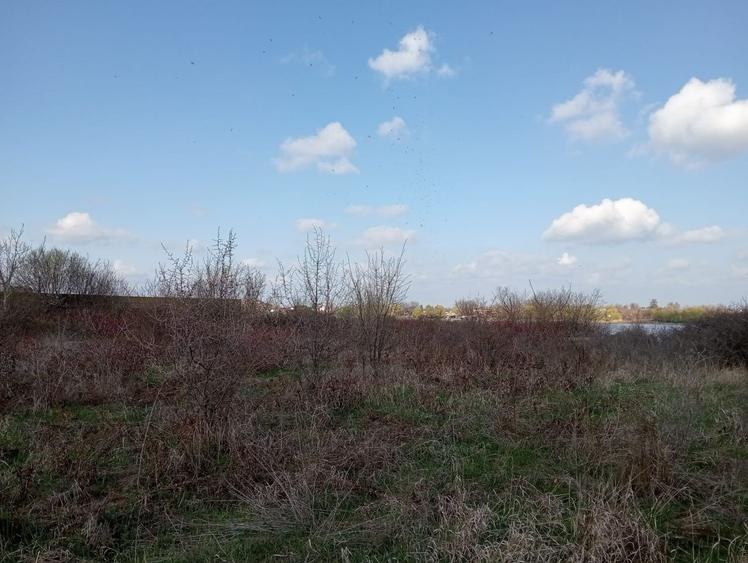 SUPER OCAZIE SE VINDE TEREN CU DESCHIDRE LA LAC - 23