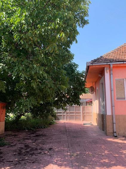 Casă cu 2 camere cu Teren 1800 Mp în Cricău