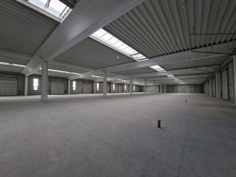 Spațiu industrial, de 18,000 mp, în Chitila
