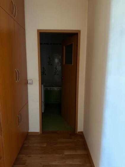 Garsonieră decomandată în Turnișor