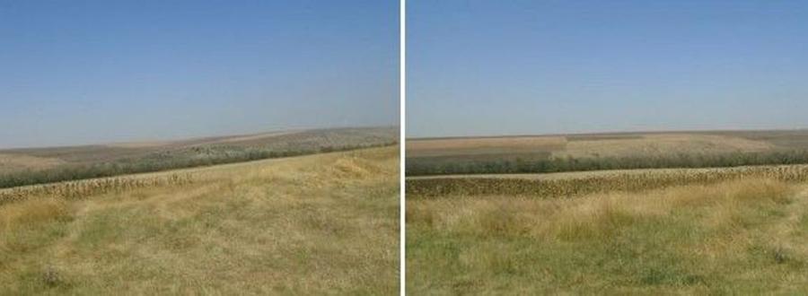 Teren de 6000 mp, în Vârlezi