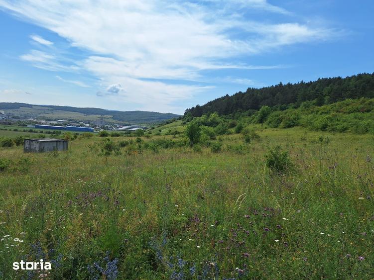Teren de 5800 mp, în Baciu