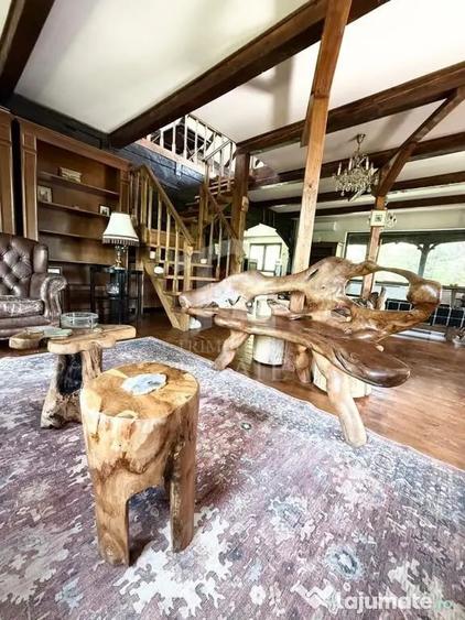 Casa autentixa maramureseana de vanzare in Snagov-Tancabesti - 5
