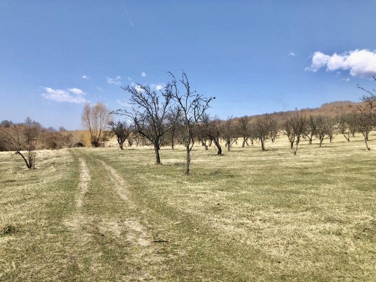 Teren Construcții intravilan de 90000 mp, în Nord