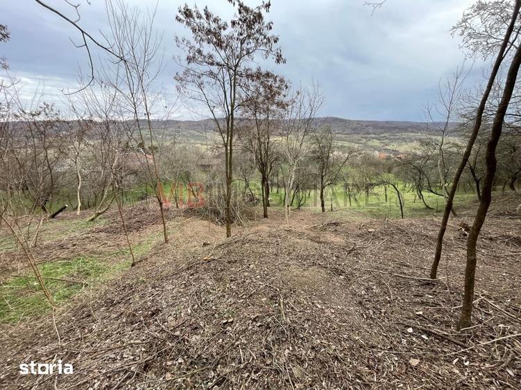 Teren de 7280 mp, în Mihăești