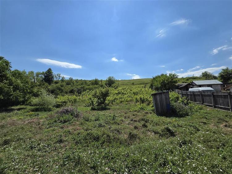 Teren Construcții intravilan de 4800 mp, în Tomești