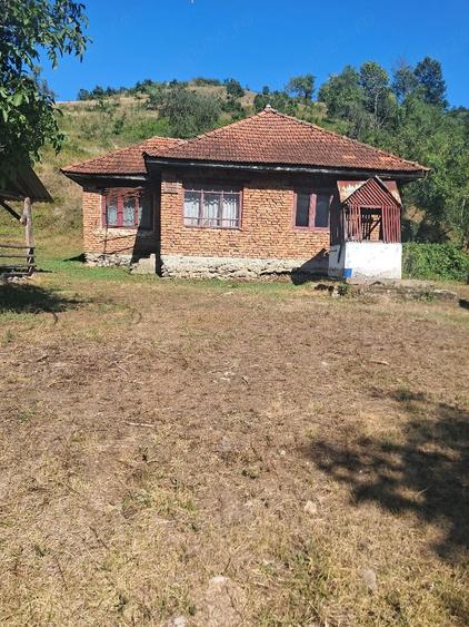 Vand casa cu teren 25700 mp - 4