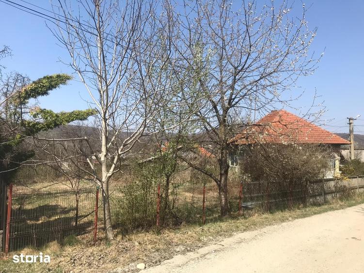 Casă cu 3 camere cu Teren 2266 Mp în Stâlpeni