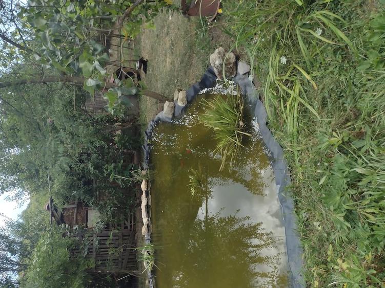 Teren de 4000 mp, în Pietroasa
