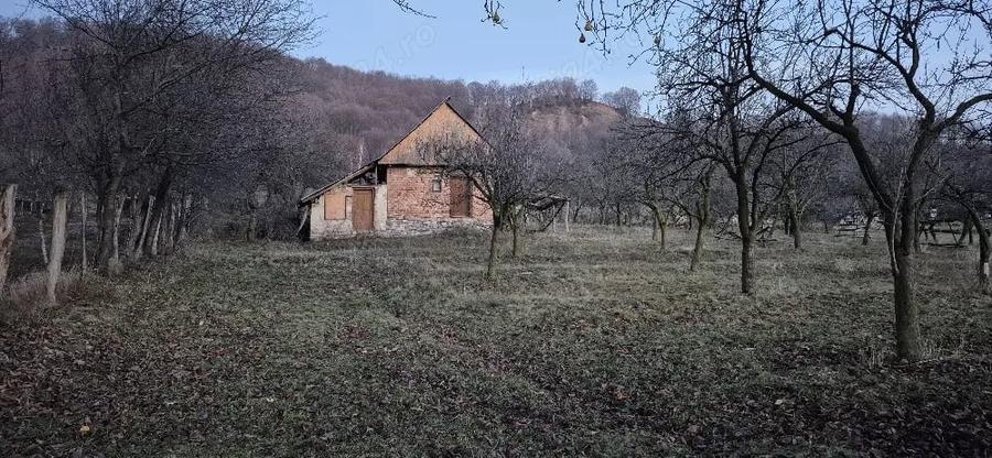 Teren de 6937 mp, în Sălătrucu