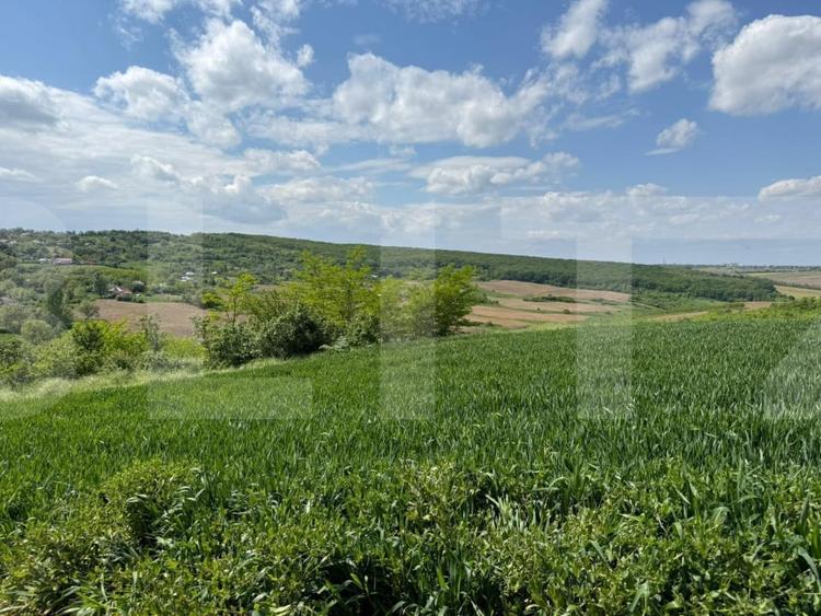Teren agricol extravilan de 6800 mp, în Exterior Sud