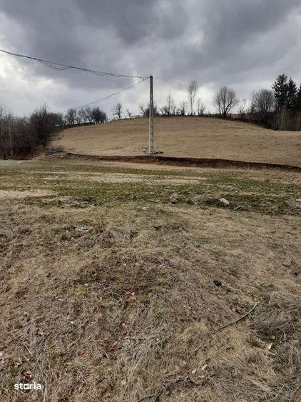 Teren de 25000 mp, în Șugag