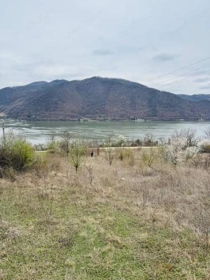 Teren de 6042 mp, în Berzasca